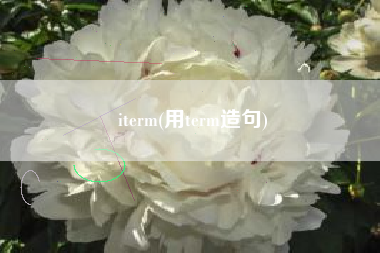 iterm(用term造句)