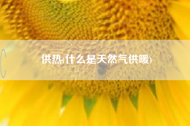 供热(什么是天然气供暖)