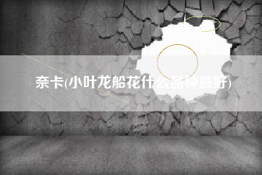奈卡(小叶龙船花什么品种最好)