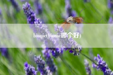 bionic(bionic哪个好)