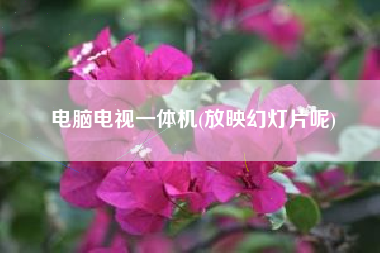 电脑电视一体机(放映幻灯片呢)