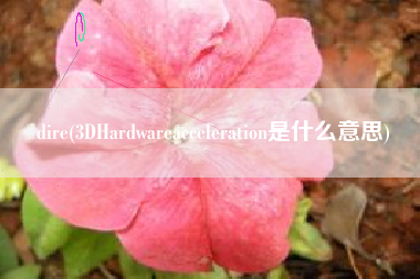 dire(3DHardwareacceleration是什么意思)