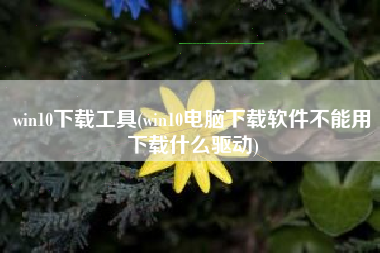 win10下载工具(win10电脑下载软件不能用下载什么驱动)