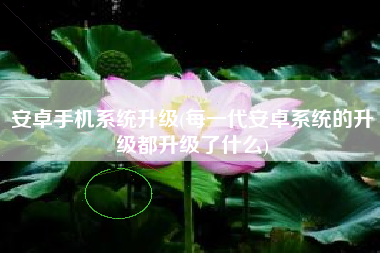 安卓手机系统升级(每一代安卓系统的升级都升级了什么)