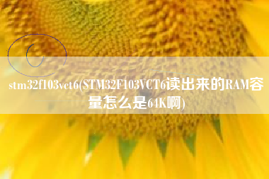 stm32f103vct6(STM32F103VCT6读出来的RAM容量怎么是64K啊)