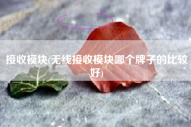 接收模块(无线接收模块哪个牌子的比较好)