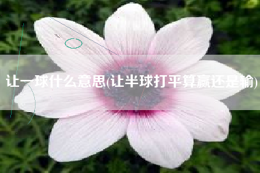 让一球什么意思(让半球打平算赢还是输)