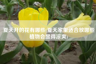 夏天开的花有哪些(夏天家里适合放哪些植物会显得凉爽)