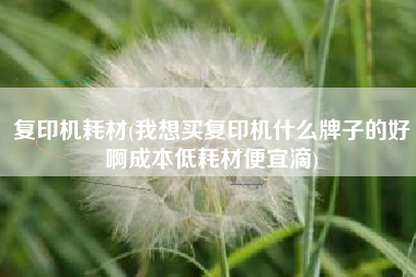 复印机耗材(我想买复印机什么牌子的好啊成本低耗材便宜滴)