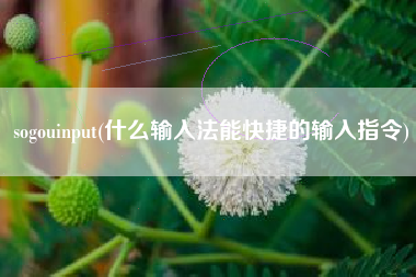sogouinput(什么输入法能快捷的输入指令)