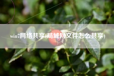 win7网络共享(局域网文件怎么共享)