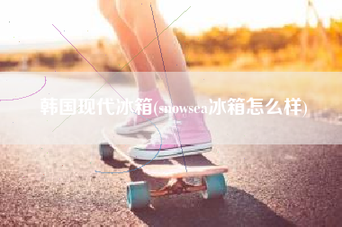 韩国现代冰箱(snowsea冰箱怎么样)