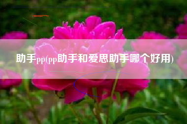 助手pp(pp助手和爱思助手哪个好用)