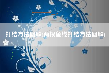 打结方法图解(两根鱼线打结方法图解)