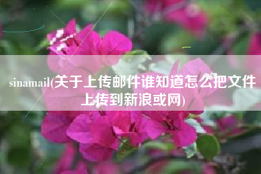 sinamail(关于上传邮件谁知道怎么把文件上传到新浪或网)