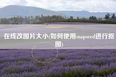 在线改图片大小(如何使用snapseed进行抠图)