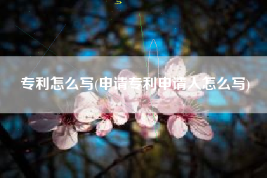 专利怎么写(申请专利申请人怎么写)