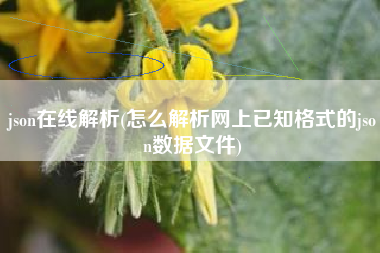 json在线解析(怎么解析网上已知格式的json数据文件)