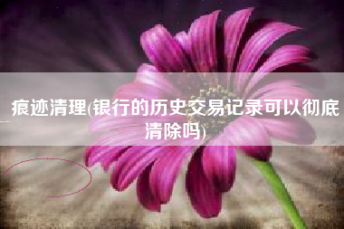痕迹清理(银行的历史交易记录可以彻底清除吗)