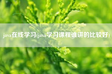 java在线学习(java学习课程谁讲的比较好)