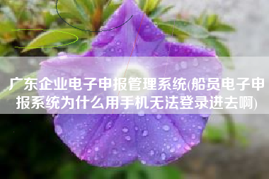 广东企业电子申报管理系统(船员电子申报系统为什么用手机无法登录进去啊)