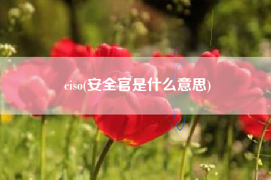 ciso(安全官是什么意思)