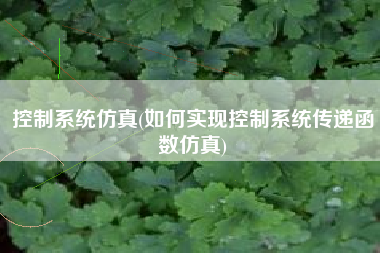 控制系统仿真(如何实现控制系统传递函数仿真)