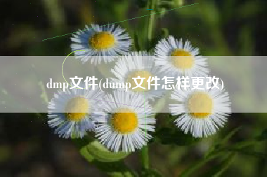 dmp文件(dump文件怎样更改)