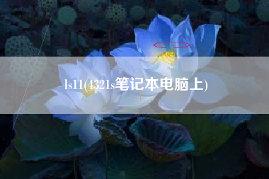 ls11(4321s笔记本电脑上)
