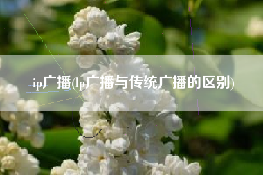 ip广播(lp广播与传统广播的区别)
