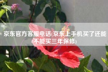 京东官方客服电话(京东上手机买了还能不能买三年保修)