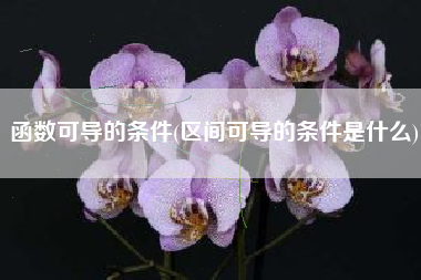 函数可导的条件(区间可导的条件是什么)