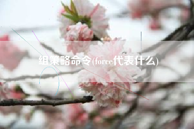 组策略命令(force代表什么)