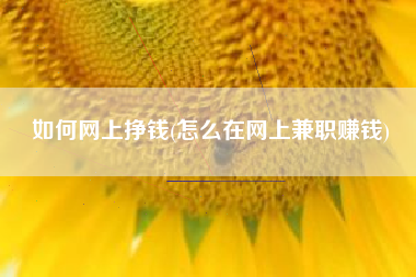 如何网上挣钱(怎么在网上兼职赚钱)