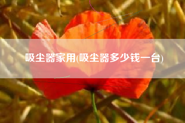 吸尘器家用(吸尘器多少钱一台)