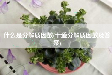 什么是分解质因数(十道分解质因数及答案)