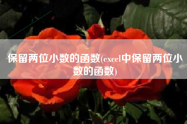 保留两位小数的函数(excel中保留两位小数的函数)