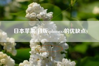 日本苹果(日版iphonexs的优缺点)