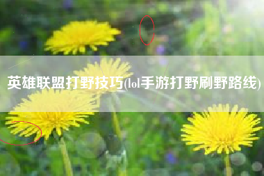 英雄联盟打野技巧(lol手游打野刷野路线)