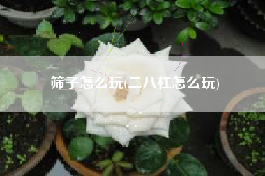 筛子怎么玩(二八杠怎么玩)
