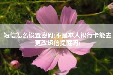 短信怎么设置密码(不是本人银行卡能去更改短信提醒吗)