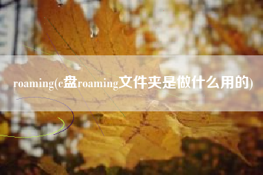 roaming(c盘roaming文件夹是做什么用的)