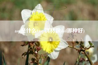 asp是什么(asp钢材跟skd哪种好)