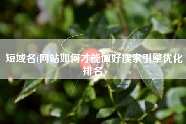 短域名(网站如何才能做好搜索引擎优化排名)