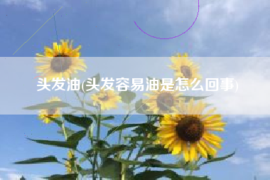 头发油(头发容易油是怎么回事)