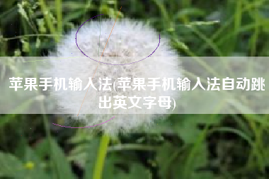 苹果手机输入法(苹果手机输入法自动跳出英文字母)