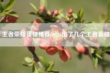 王者荣耀英雄推荐(2021出了几个王者英雄)