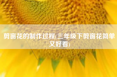 剪窗花的制作过程(三年级下剪窗花简单又好看)