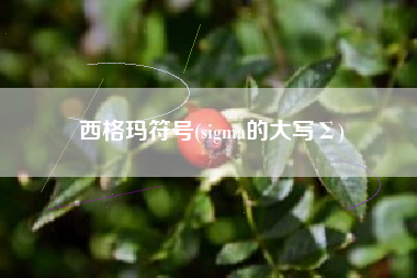 详细阅读:西格玛符号(sigma的大写Σ) 西格玛符号(sigma的大写Σ)