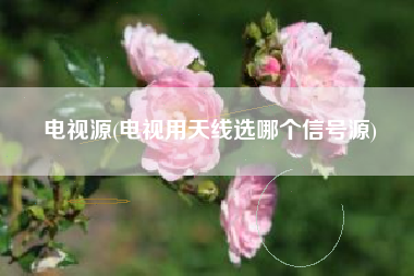 电视源(电视用天线选哪个信号源)